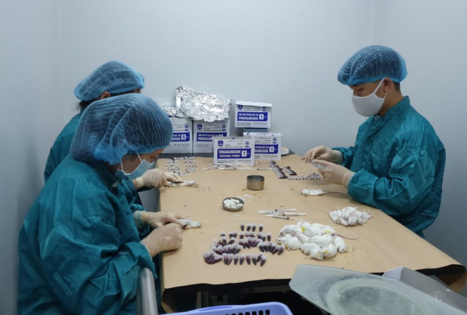 Nghiên cứu vắcxin COVID-19: VN 'chạy nước rút' trên đường đua quốc tế ảnh 1