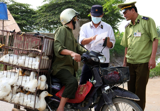 Ban hành quy định kiểm dịch y tế đối với nhiều hàng hóa ảnh 1
