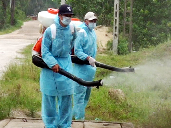 Giám sát chặt chẽ tình hình dịch bệnh sốt xuất huyết ở Hà Nội ảnh 1