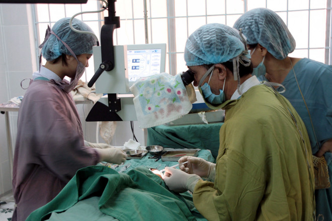 Bộ Y tế yêu cầu xác minh vụ tử vong khi phẫu thuật amiđan ở Kon Tum ảnh 1