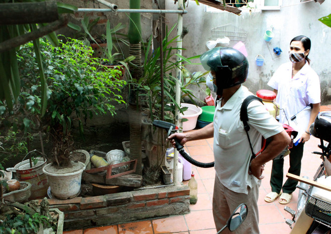 Hà Nội đã ghi nhận xuất hiện tám ổ dịch sốt xuất huyết ảnh 1