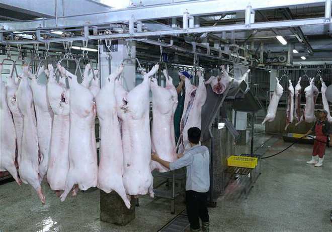 Cá nhân vi phạm an toàn thực phẩm sẽ bị phạt tới 200 triệu đồng ảnh 1