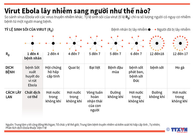 Việt Nam có 4 nơi đủ khả năng xét nghiệm xác định virus Ebola ảnh 2