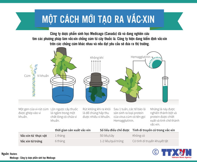 Các dự án sản xuất vắcxin trong nước được hưởng nhiều ưu đãi ảnh 2