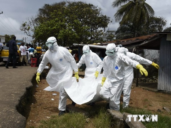 Việt Nam chuẩn bị diễn tập quy mô đối phó với dịch bệnh Ebola ảnh 2