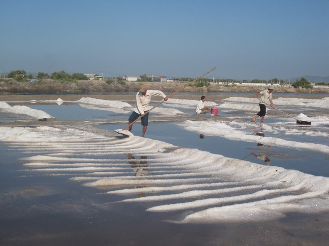 90% người dân Việt Nam ăn muối nhiều hơn mức khuyến cáo ảnh 1