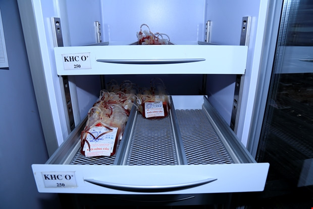 Báo động khan hiếm nhóm máu O dự trữ trong điều trị ảnh 1