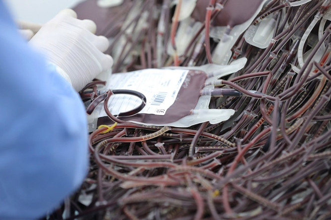 Bộ Y tế: Đề nghị bảo đảm cung cấp đủ máu cho các bệnh viện ĐBSCL ảnh 1