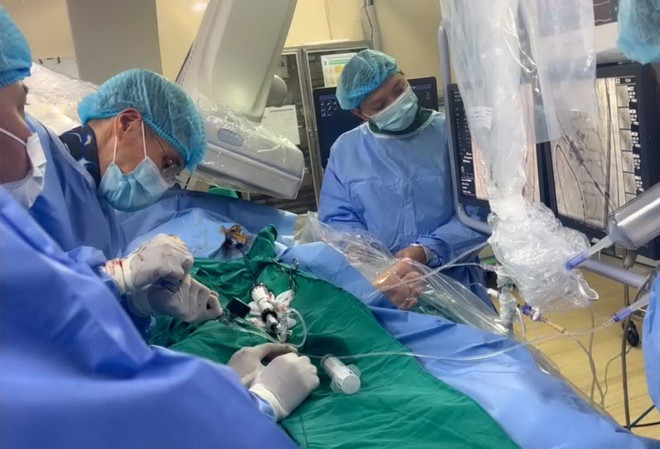 Việt Nam đăng cai tổ chức Đại hội khoa học tim mạch Đông Nam Á ảnh 1