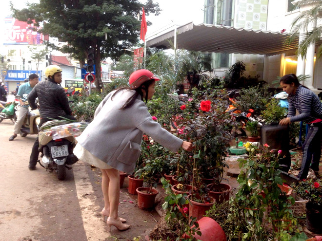 Chiều 30 Tết, phố hoa Hoàng Hoa Thám vẫn tắc đường kéo dài ảnh 1