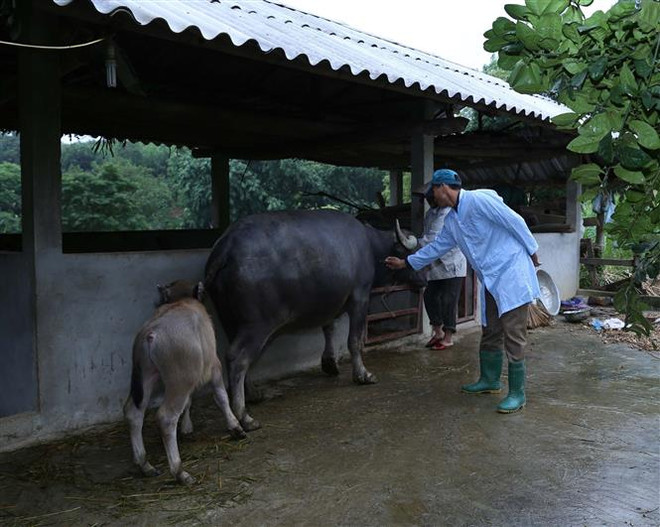 Lai Châu: Nâng cao tỷ lệ hộ gia đình sử dụng nhà tiêu hợp vệ sinh ảnh 1