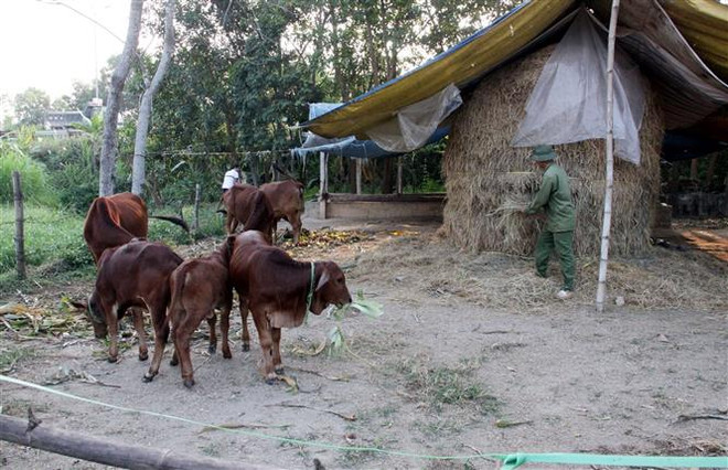 Gia Lai hỗ trợ xây dựng 570 nhà tiêu hợp vệ sinh tại 9 xã khó khăn ảnh 1