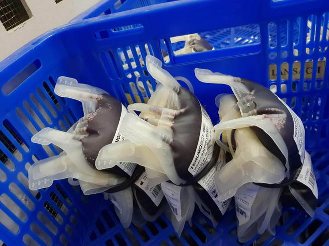 Thực hư thông tin về việc xuất khẩu máu ra nước ngoài? ảnh 1