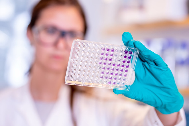 Nghiên cứu vắcxin phòng COVID-19 của AstraZeneca. (Ảnh: PV/Vietnam+) Vắcxin phòng COVID-19 của AstraZeneca cho kết quả thử nghiệm khả quan ảnh 1