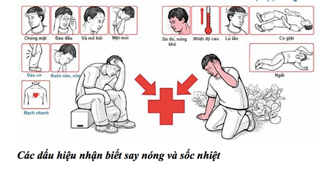 2 người tử vong do sốc nhiệt, cách bảo vệ sức khỏe khi trời nóng? ảnh 3