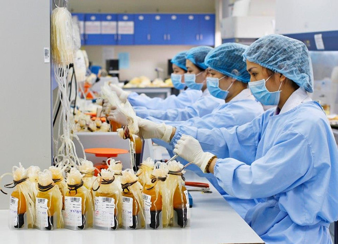 Blouse trắng về bản đoạt giải Nhất cuộc thi ảnh nét đẹp ngành y ảnh 8