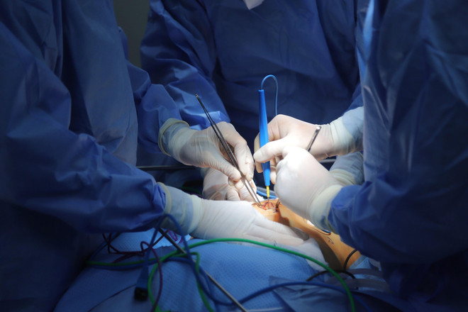 Các chuyên gia của hai nước cùng chia sẻ trao đổi kinh nghiệm, cập nhật những tiến bộ mới nhất vào điều trị ung thư. (Ảnh: PV/Vietnam+) ảnh 2.jpg
