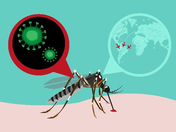 Ca nhiễm virus Zika ở Nhật không phải là người Việt Nam ảnh 1