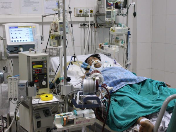 Cứu sống bệnh nhân nhiễm cúm H1N1 bằng phương pháp ECMO ảnh 1