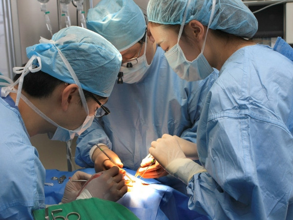 Vụ 3 trẻ tử vong: Xét lại quy trình Khánh Hòa cấp phép cho OSCA ảnh 1