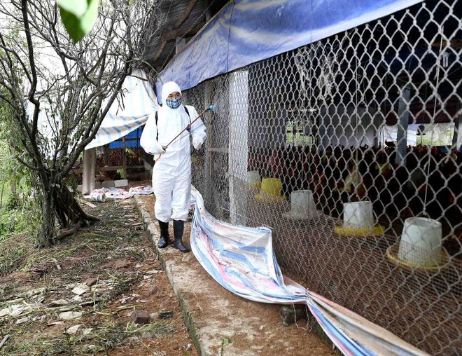 Lai Châu: Tình hình dịch bệnh ổn định, không có dịch lớn xảy ra ảnh 2