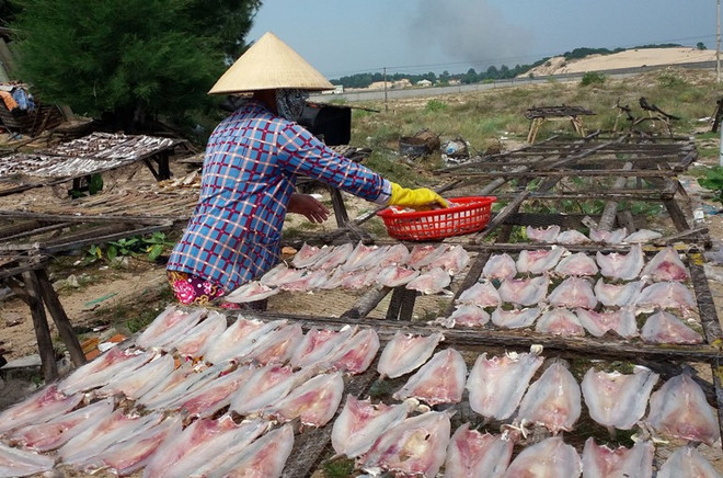 Một cơ sở có mẫu cá đù tồn dư chất trichlorfon. (Ảnh: Hoàng Nhị/TTXVN) Xử lý vi phạm an toàn thực phẩm: Tránh tình trạng "Bắt cóc bỏ đĩa" ảnh 2