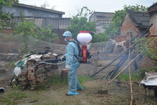 Hà Nội ghi nhận hơn 37.000 người mắc bệnh sốt xuất huyết ảnh 1