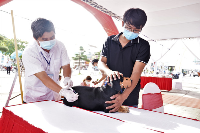 FAO, WHO và CDC Hoa Kỳ cam kết cùng Việt Nam loại trừ bệnh dại ảnh 1