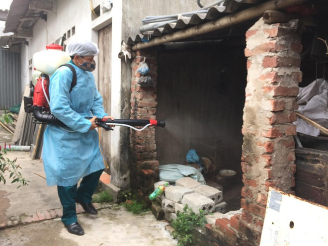 Hà Nội: 30% số đội xung kích diệt bọ gậy chưa hiệu quả ảnh 1