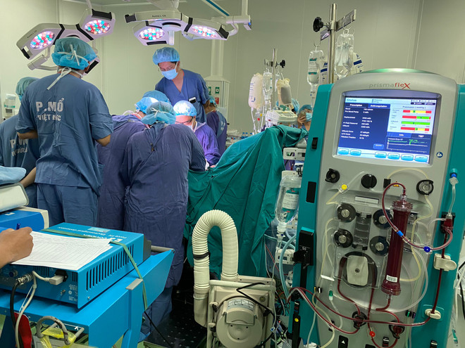 Những người gieo “hạt giống” nối dài sự sống ảnh 1