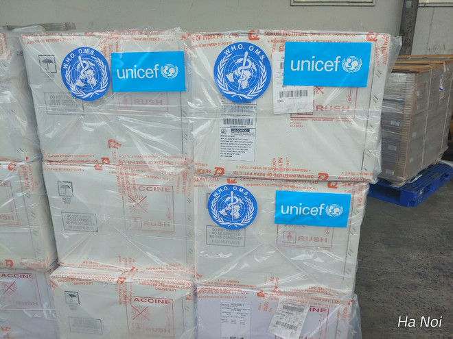 185.700 liều vaccine 5 trong 1 do WHO và UNICEF hỗ trợ đã về VN ảnh 1