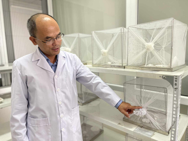 Số ca sốt xuất huyết diễn biến phức tạp và tăng mạnh ở miền Bắc ảnh 3