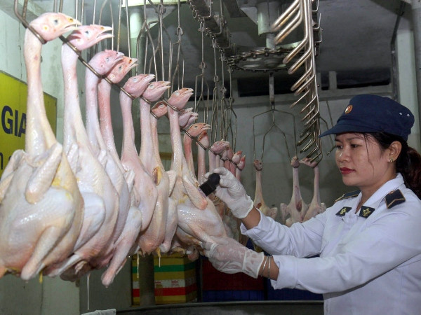 Thành lập 6 đoàn thanh tra an toàn thực phẩm dịp Tết Nguyên đán ảnh 1