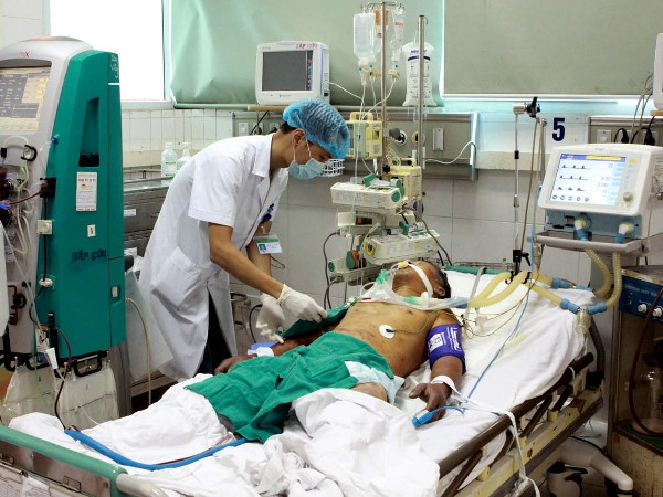 Ngăn chặn không để “Cái chết đen” xâm nhập vào Việt Nam ảnh 1