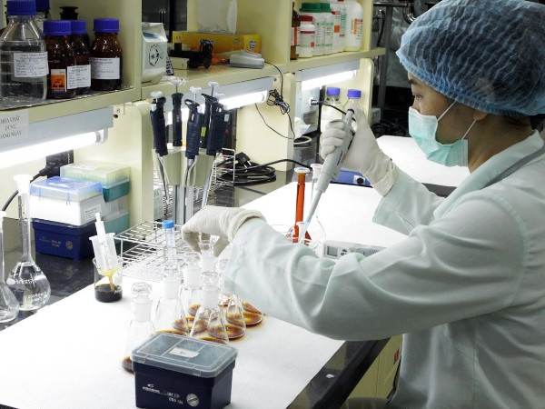 Triển khai nghiên cứu, tìm ra nguyên nhân sởi bất thường ảnh 1