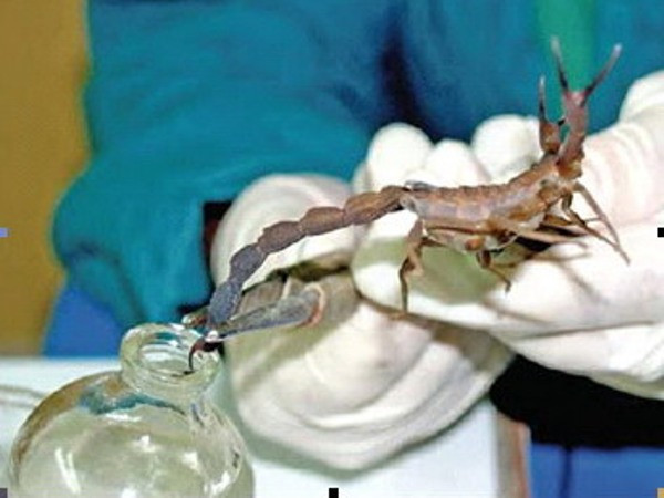 Cuba: Điểm du lịch kết hợp chăm sóc sức khỏe lý tưởng ảnh 1