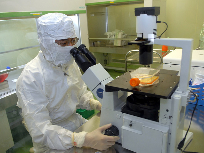 Chưa có dấu hiệu virus sởi biến đổi gen, thay đổi độc lực ảnh 1