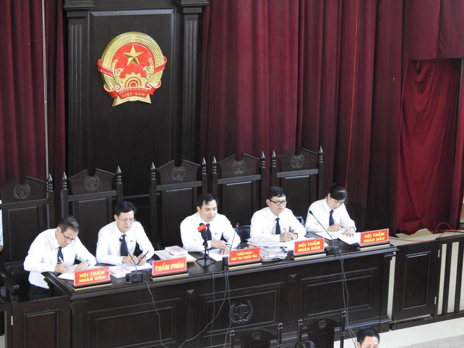 Đại biểu Quốc hội nói gì về vụ xử bác sĩ Hoàng Công Lương? ảnh 3