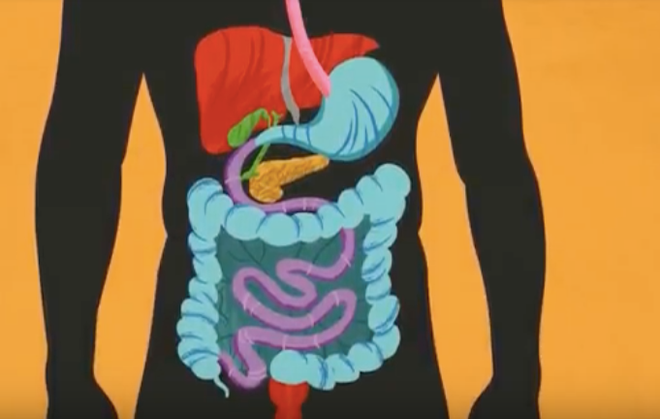 10% dân số Việt Nam mắc các bệnh liên quan đến đường tiêu hóa ảnh 1