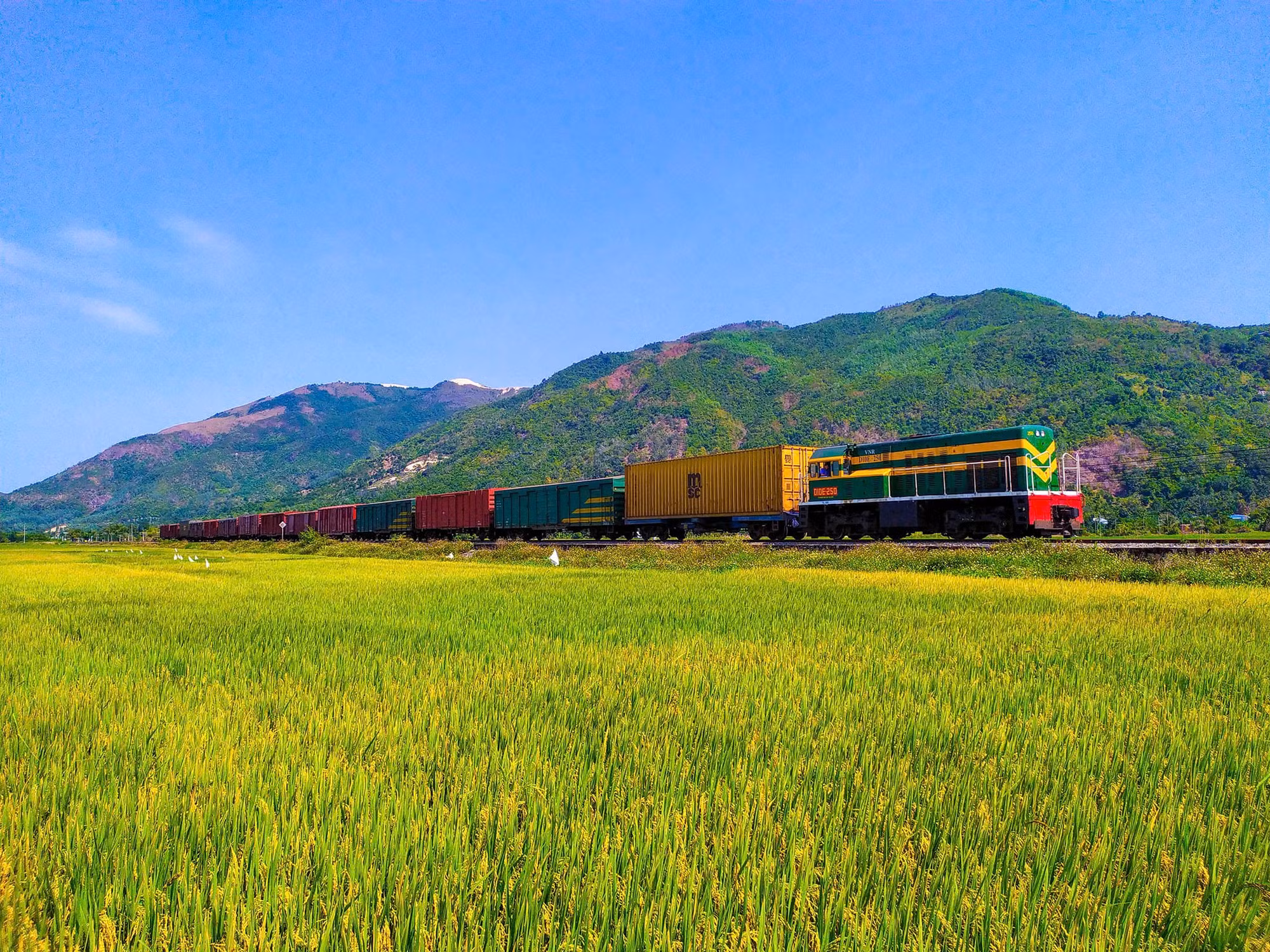 Đường sắt: Giảm phí logistics nhờ liên vận Đường sắt: Giảm phí logistics nhờ liên vận