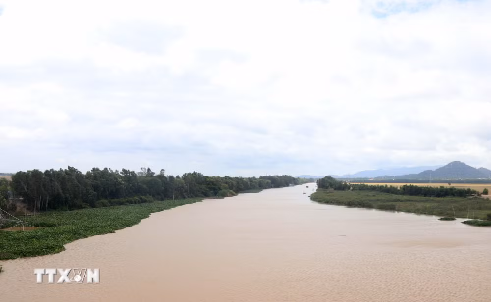 ttxvn-van-hanh-dong-2-cong-tha-la-va-tra-su-kiem-soat-lu-vung-tu-giac-long-xuyen-3.jpg