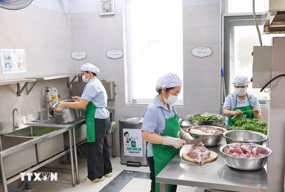 Liên tiếp ngộ độc thực phẩm trong trường học ở TPHCM: "Lỗ hổng" quản lý- Ảnh 2.