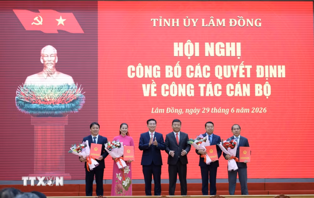 ttxvn-lam-dong-dieu-dong-bo-nhiem-10-chuc-danh-can-bo-chu-chot-3.jpg