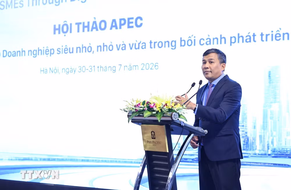 ttxvn-hoi-thao-apec-ve-thuc-day-chuyen-doi-so-2.jpg