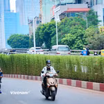 Thúc đẩy chuyển đổi xanh. (Ảnh: Hoài Nam/Vietnam+)