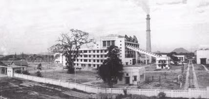 Nhà máy Nhà máy điện Cao Ngạn (nay là Công ty Điện lực Thái Nguyên), bắt đầu đi vào vận hành từ tháng 12/1963 gồm 3 tổ máy, công suất thiết kế là 24MW, có 128 km đường dây các loại, với 10 trạm/15 máy biến áp, tổng dung lượng là 68.120 KVA, chủ yếu cung cấp điện cho khu Gang thép Thái Nguyên. (Ảnh: Tư liệu/TTXVN phát)