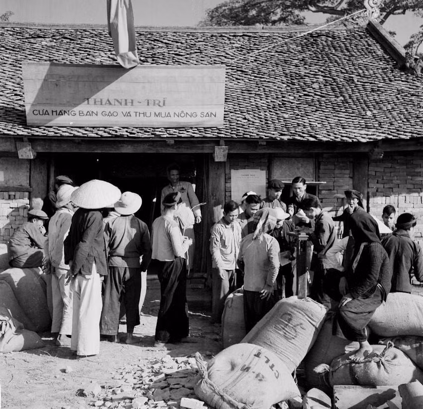 Mỗi ngày, trạm thu mua của hợp tác xã mua bán huyện Thanh Trì, tỉnh Hà Đông thu mua của nông dân khoảng 10 tấn thóc (tháng 12/1958). (Ảnh: Văn Khiêm/TTXVN)