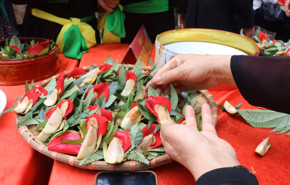Trầu têm cánh phượng của người Quan họ. (Ảnh: Thái Hùng/TTXVN)