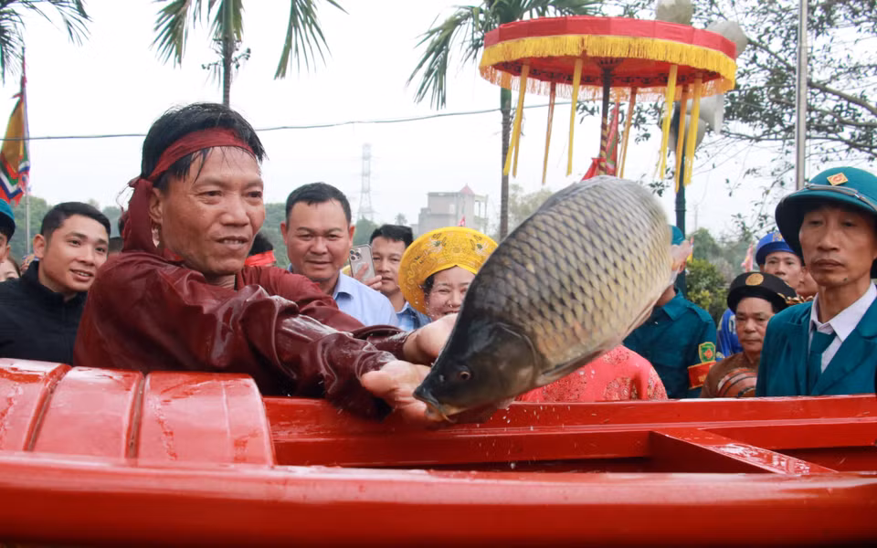 Đưa cá vào kiệu rồng. (Ảnh: Nguyễn Lành/TTXVN)