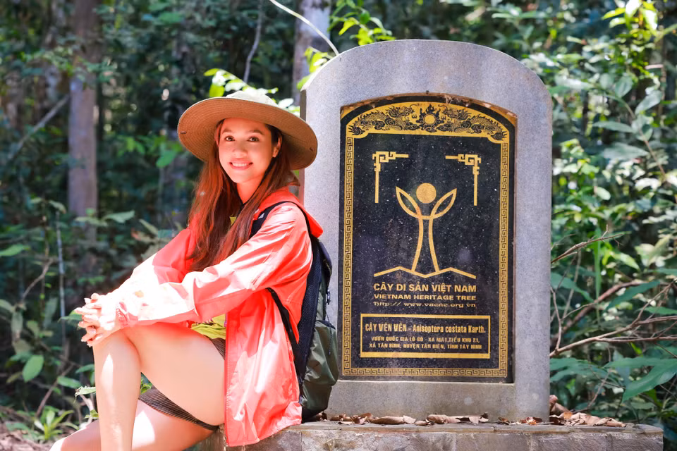 Sáng 6/9/2016, ban quản lý Vườn quốc gia Lò Gò - Xa Mát (xã Tân Bình, huyện Tân Biên, tỉnh Tây Ninh) đón nhận bằng công nhận Cây Di sản Việt Nam cho 1 cây Dầu con rái và 1 cây Vên Vên. (Ảnh: CTV/Vietnam+)